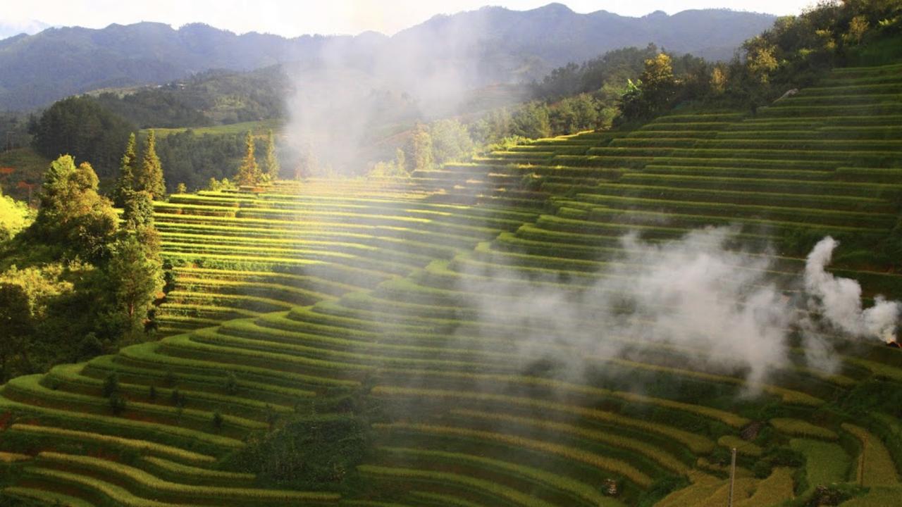 Vietnamese hills