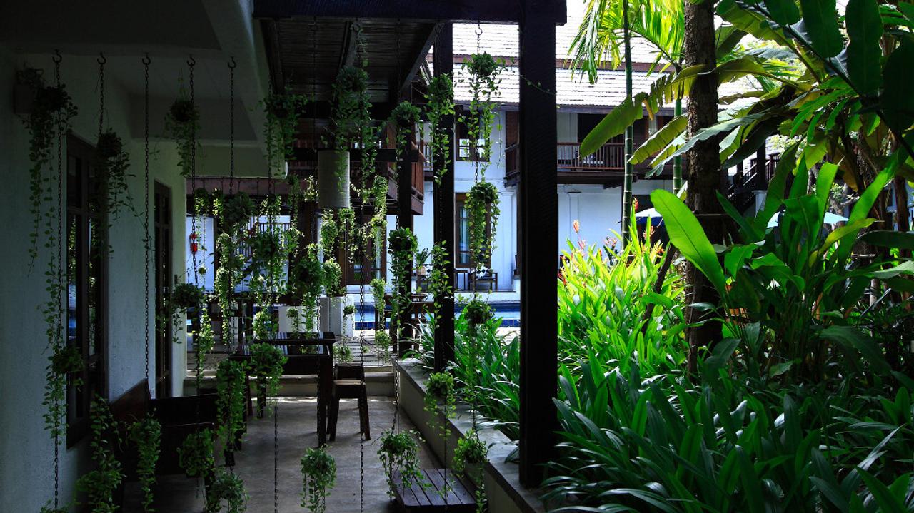 Green plants and walkways at Banthai Village