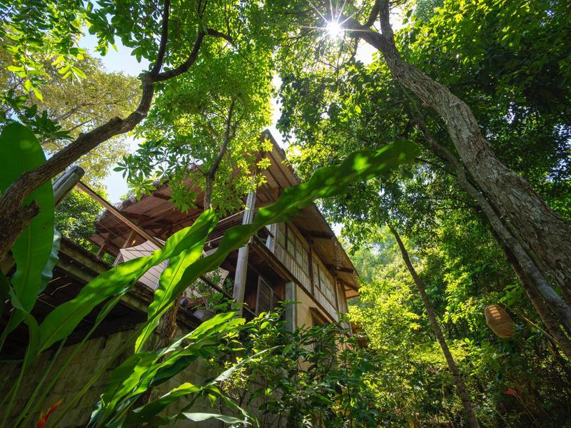Wooden cabin amongst the trees at Mango Bay Phu Quoc