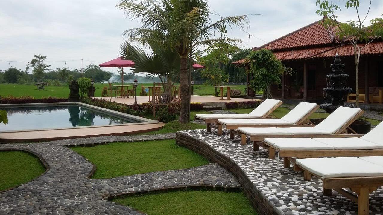 Outdoor pool with loungers