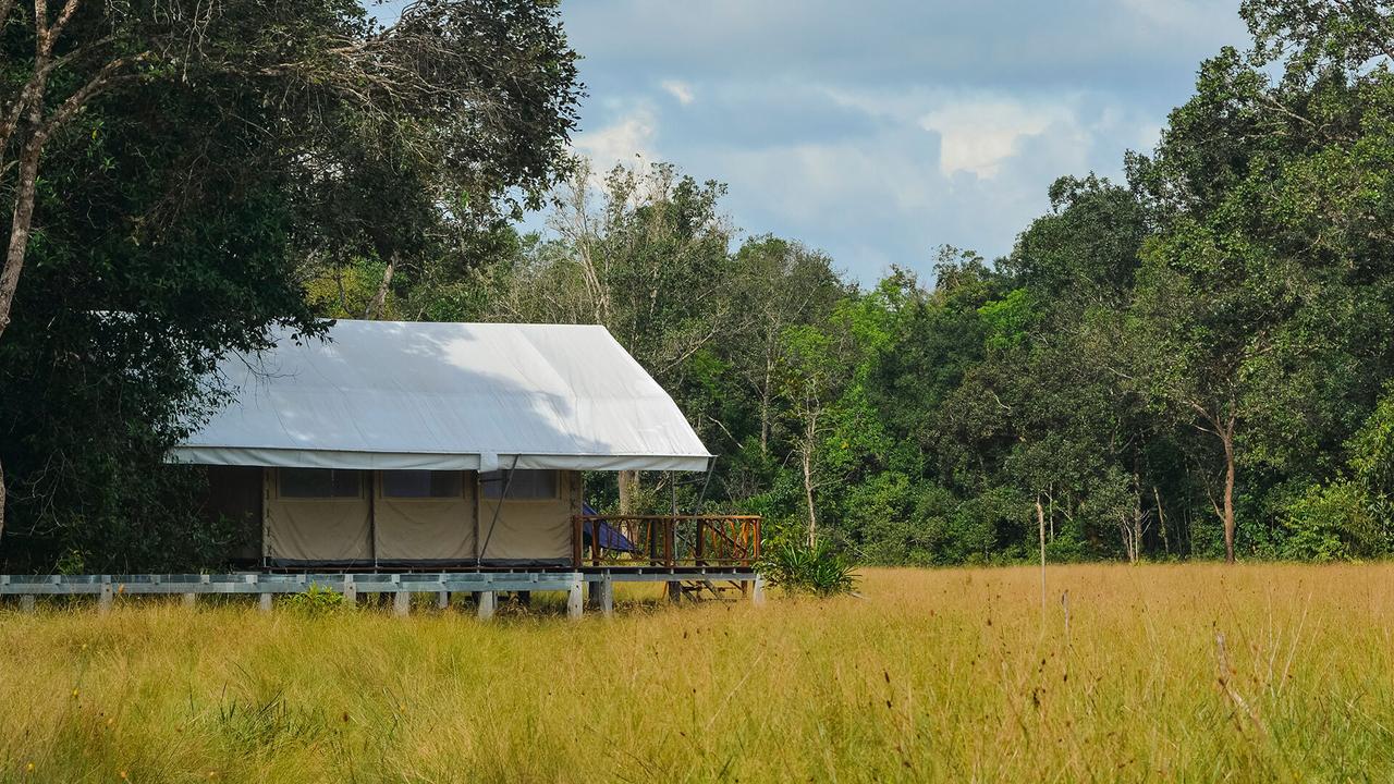 Luxury safari-style tents