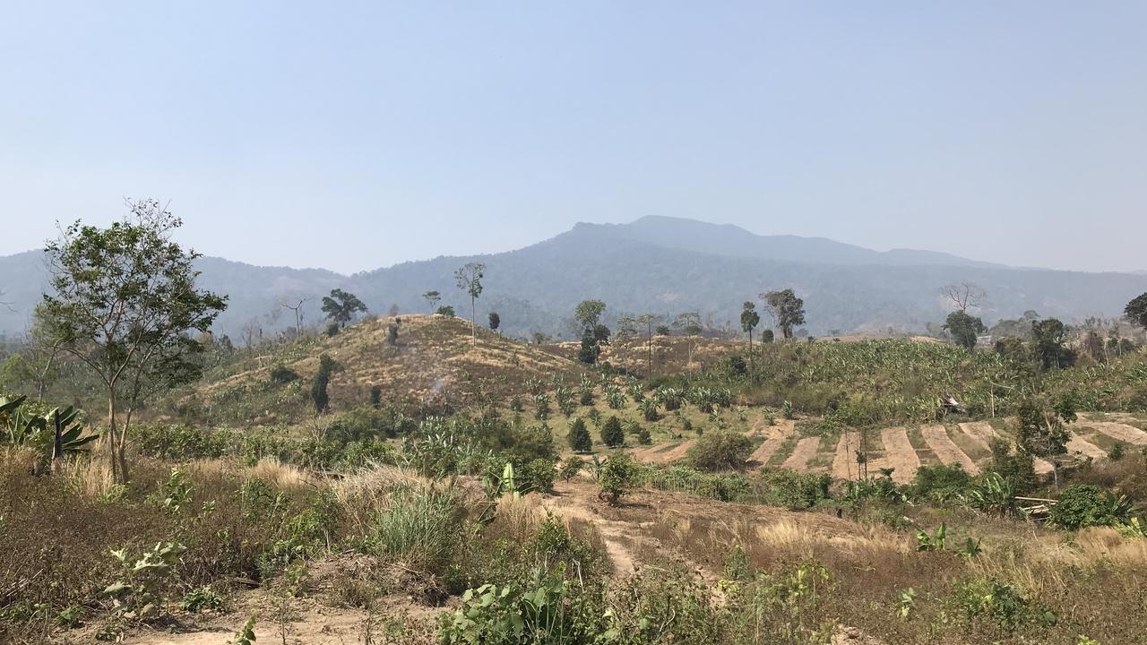 View of Cardamom Mountains