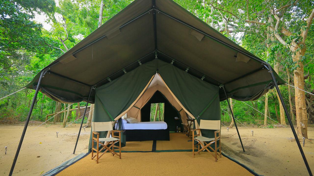 Classic safari tent