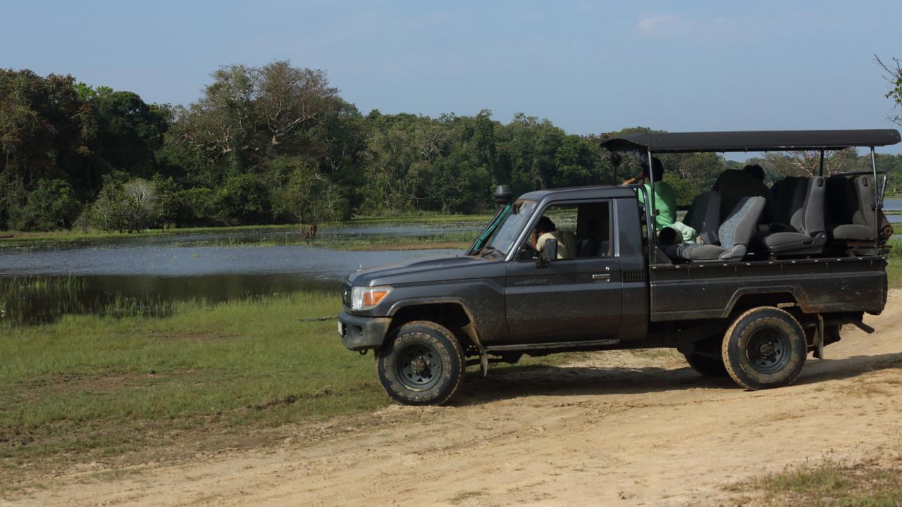 Jeep safaris