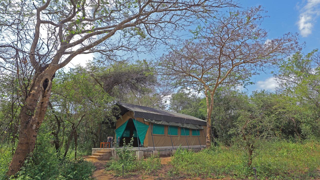 Wilpattu Safari Camp