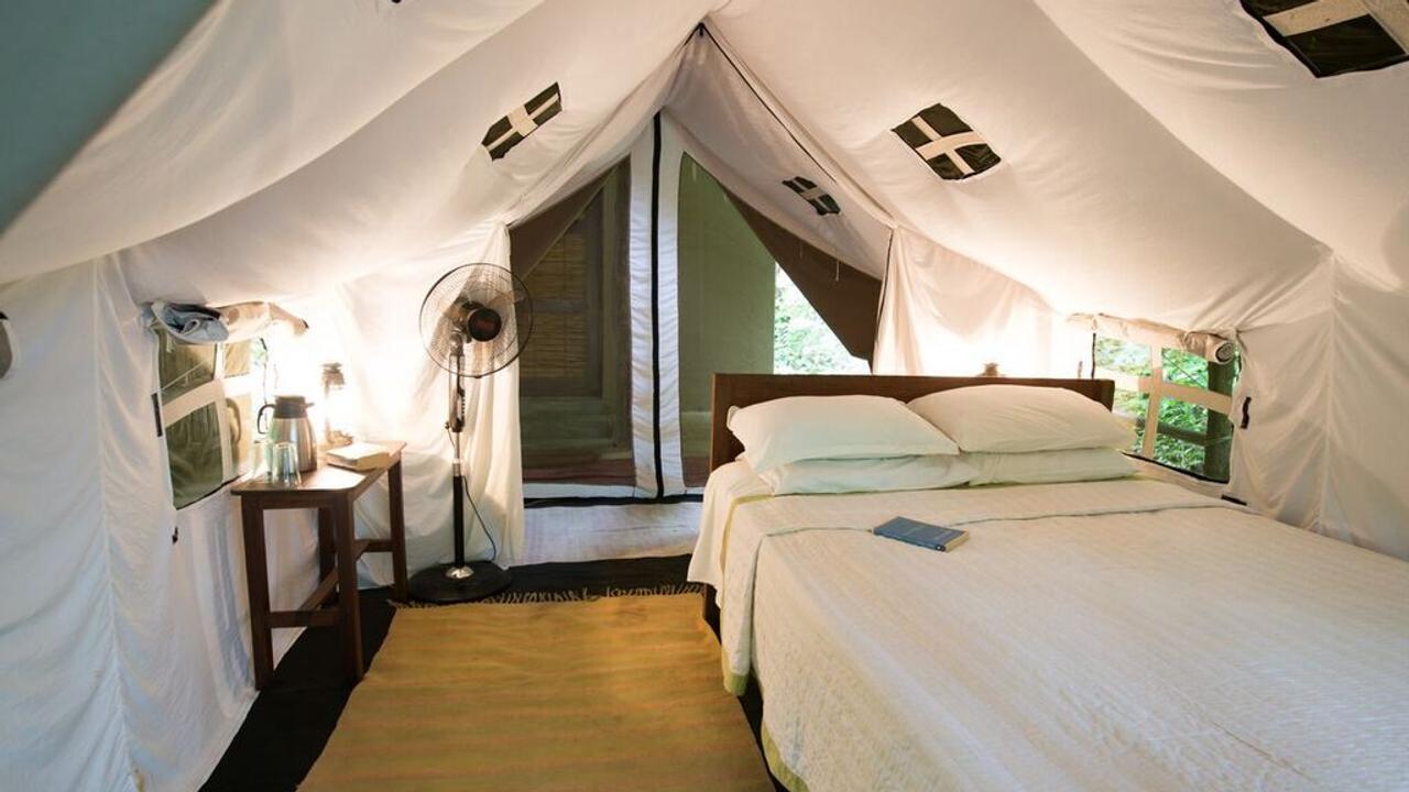 Tented bedroom at Tiger Tops Tharu Lodge