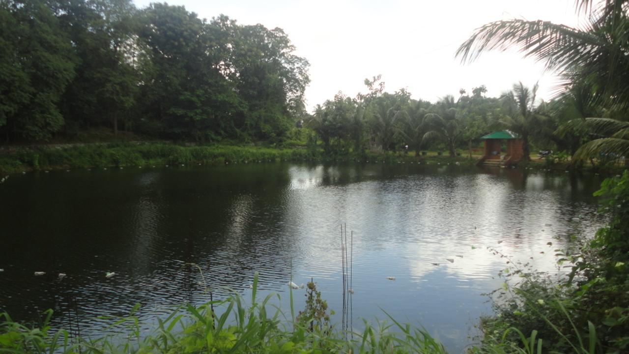 Fishing pond