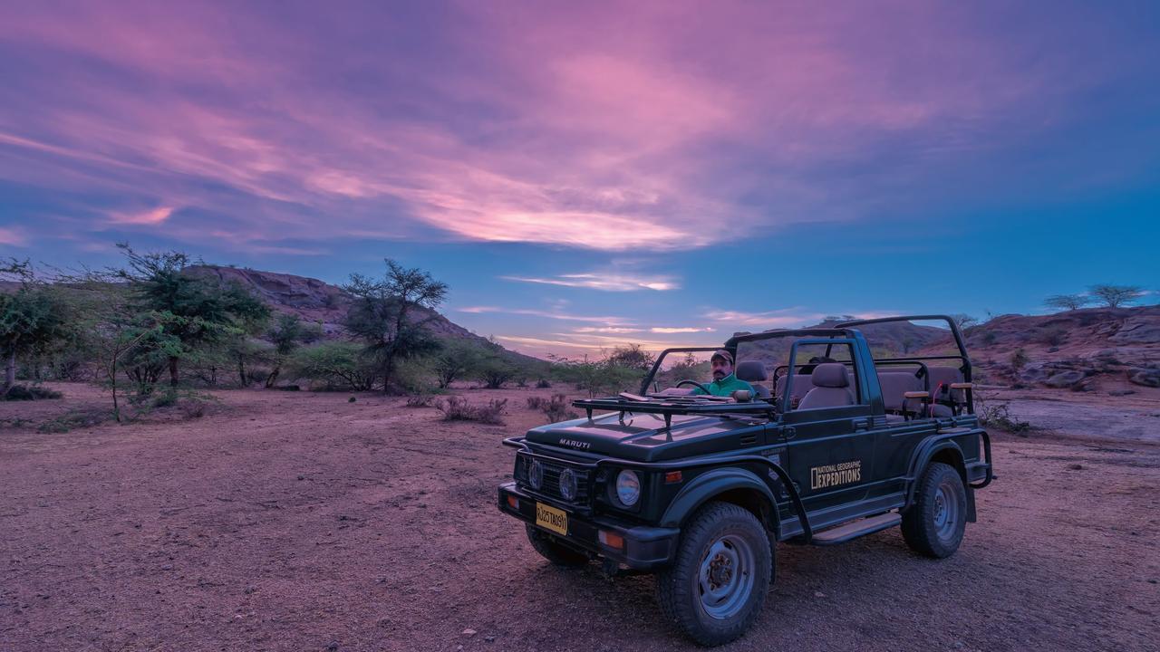 Morning jeep safari