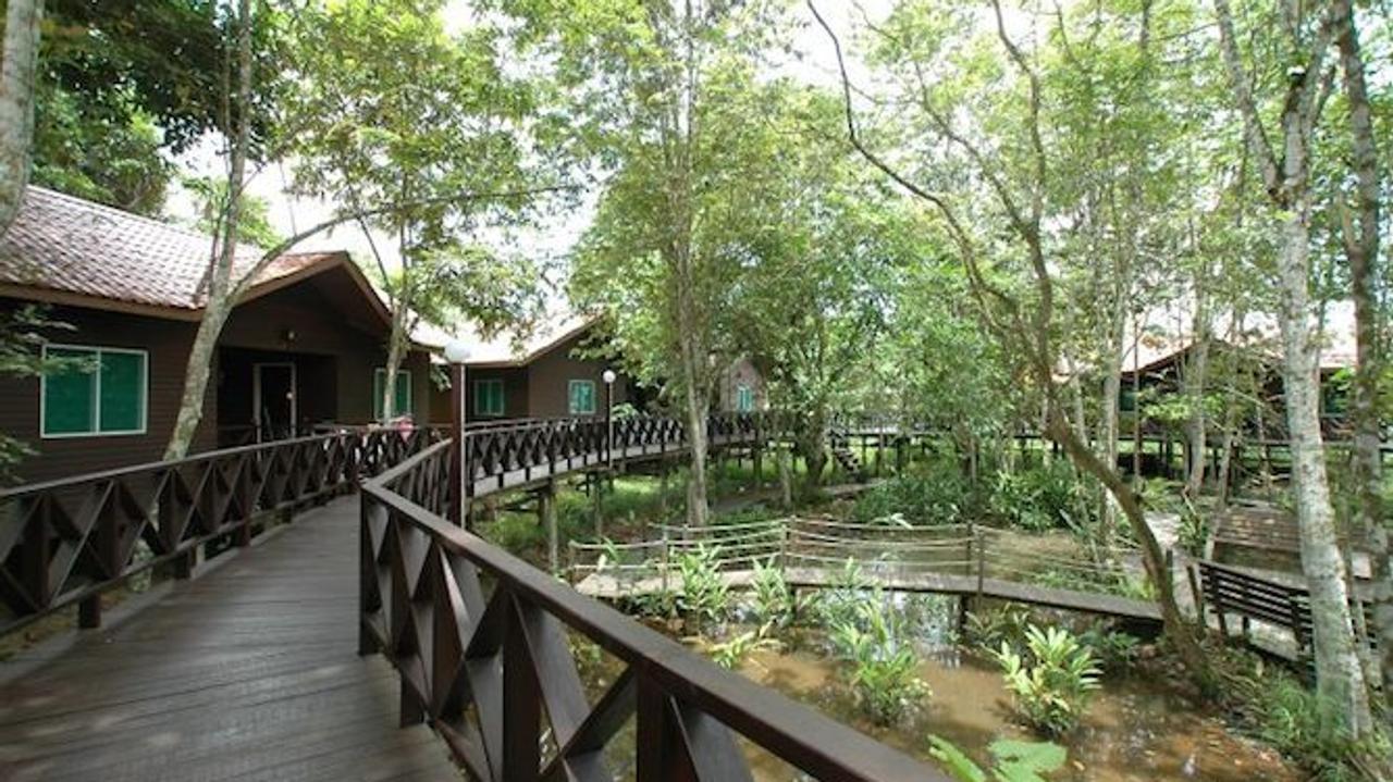 Treetop walkway at Kinabatangan Riverside Lodge