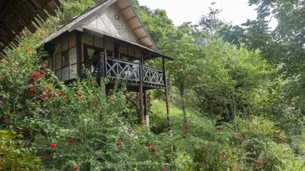 Stilted bungalow at Nong Kiau Riverside