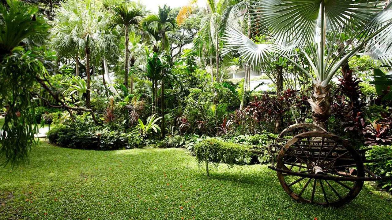 Green gardens at Anantara Riverside