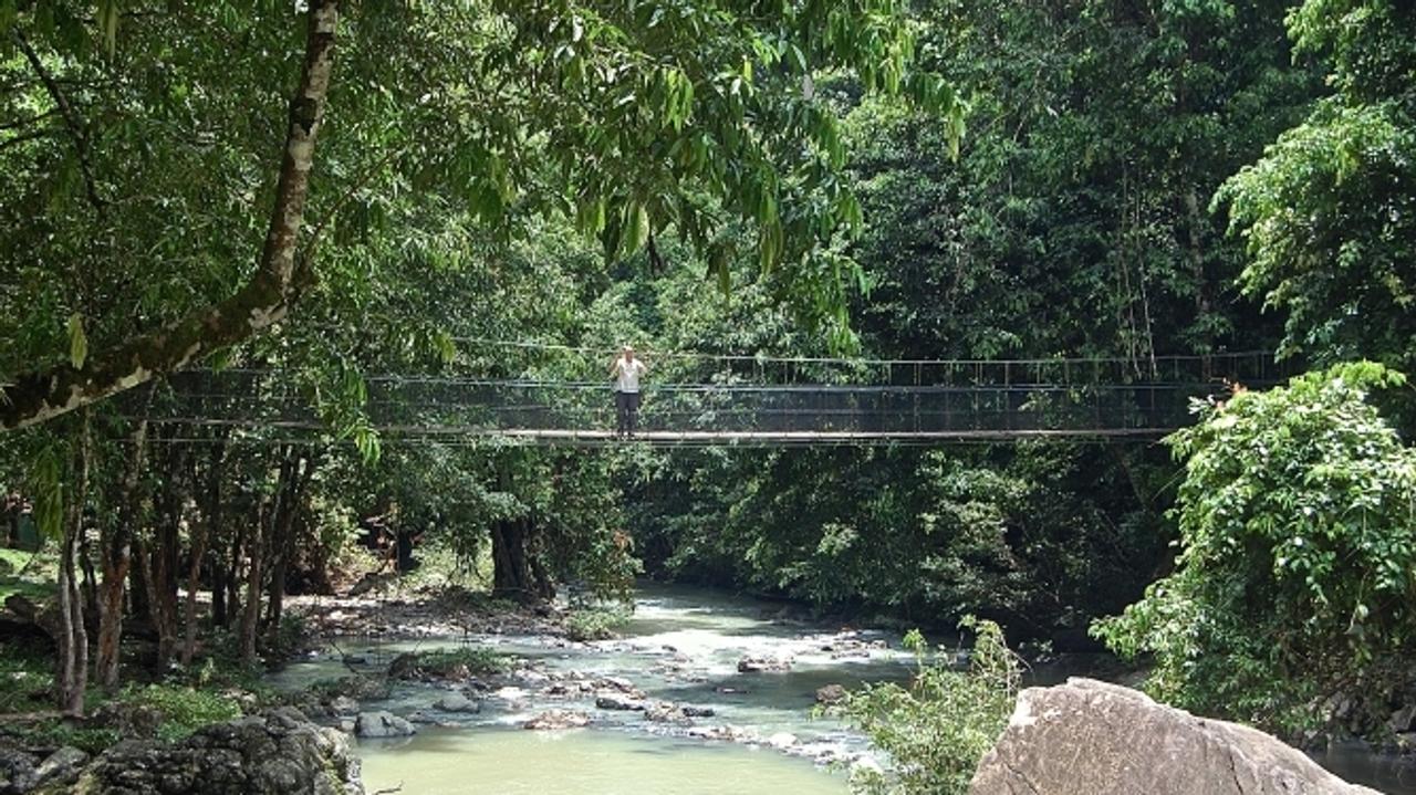 Bridge over the river at Tabin Wildlife Resort