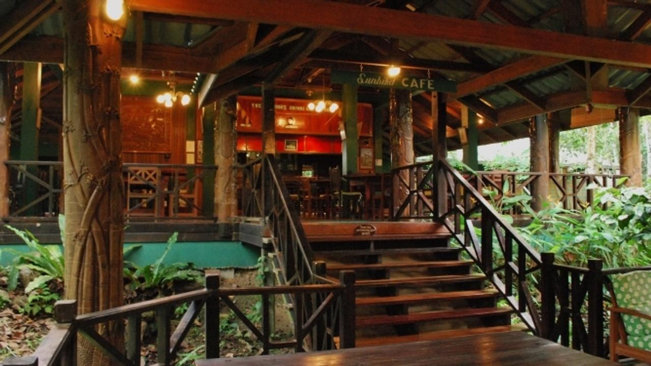 Cafe at Tabin Wildlife Resort