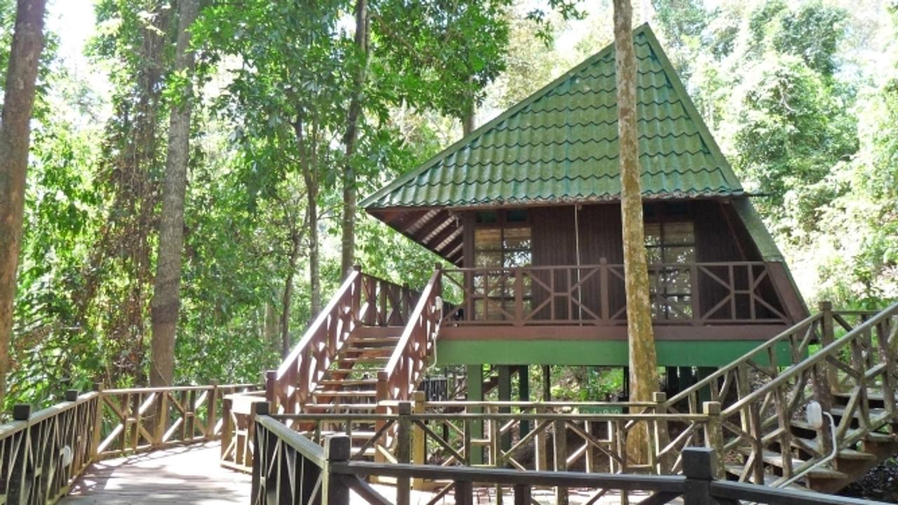 Cabin in the jungle at Tabin Wildlife Resort