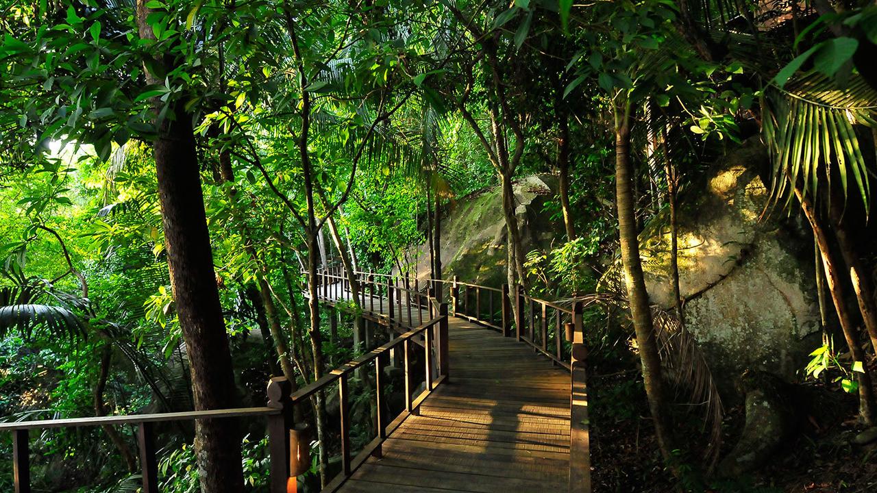 Walkway through the jungle at Japamala Resort
