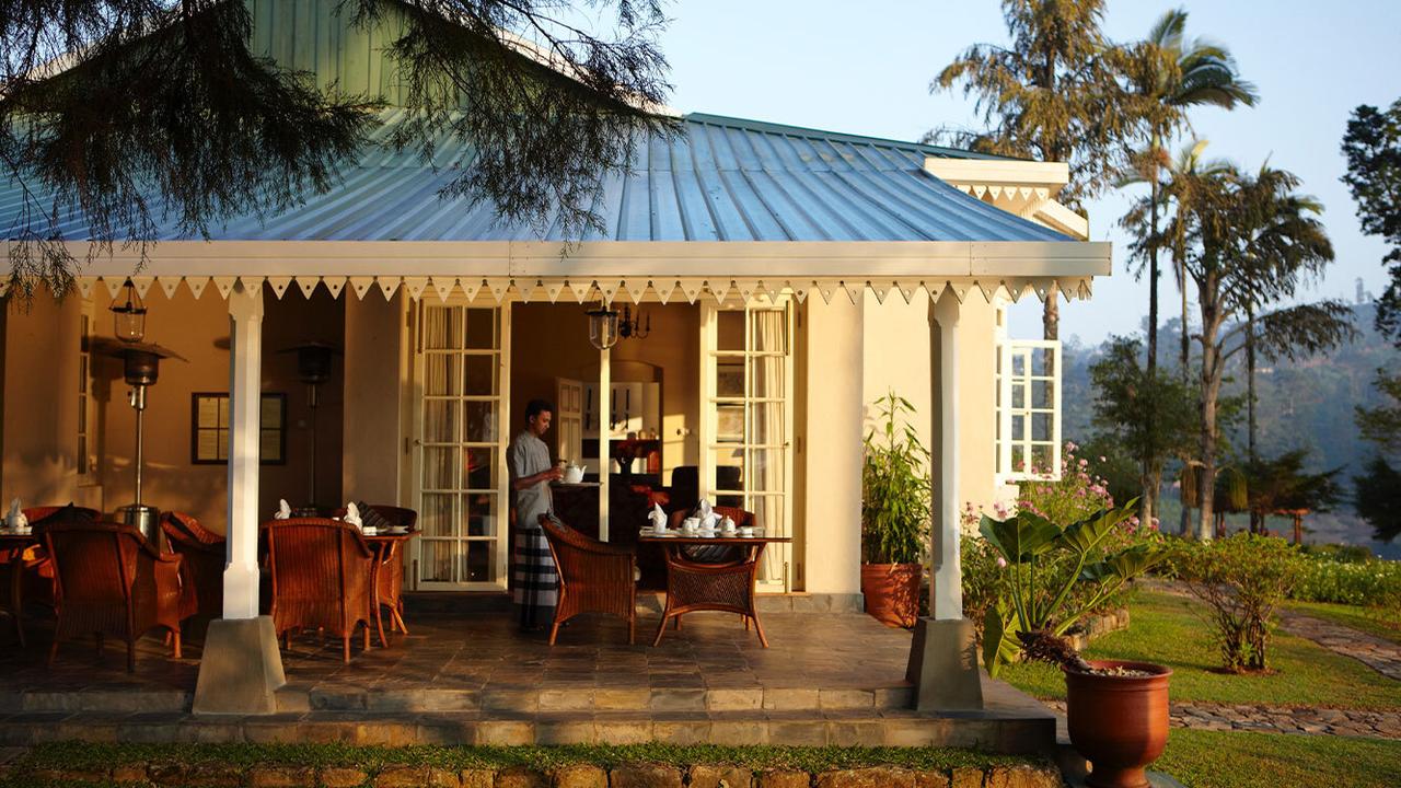 Outdoor dining at Tea Trails
