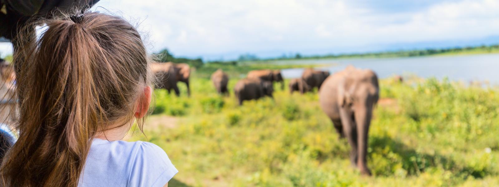 Sri lanka girl looking at elephant