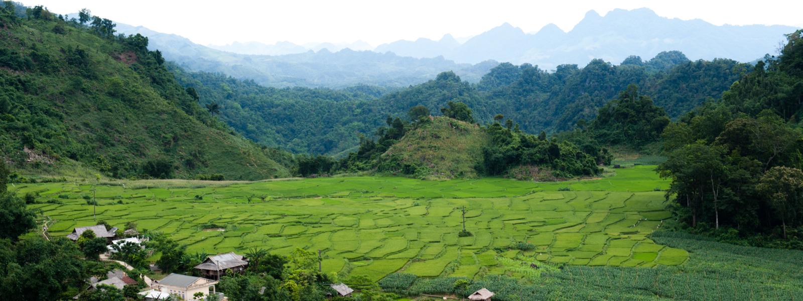 Vietnam hills