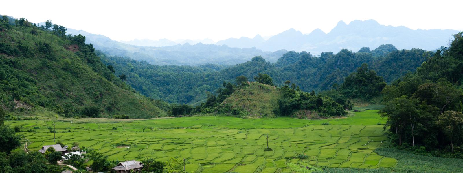 Vietnam hills