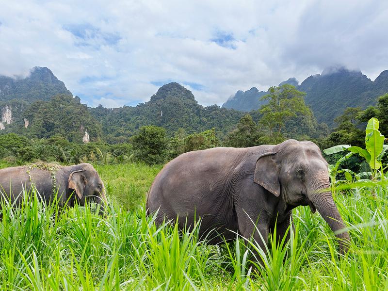 Elephant Hills, Thailand