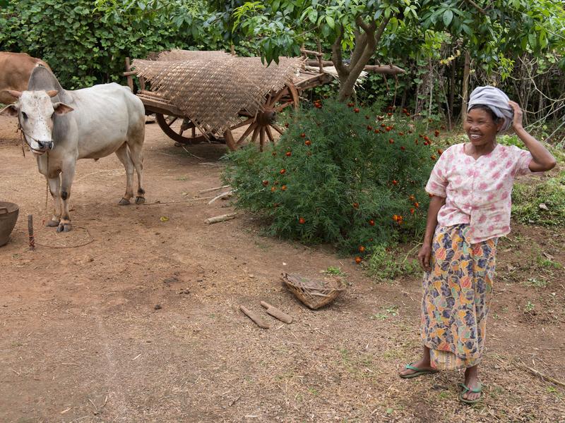 Lady in rural myanmar