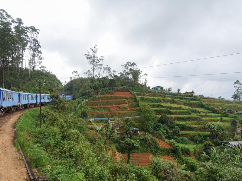 Sri Lanka Train