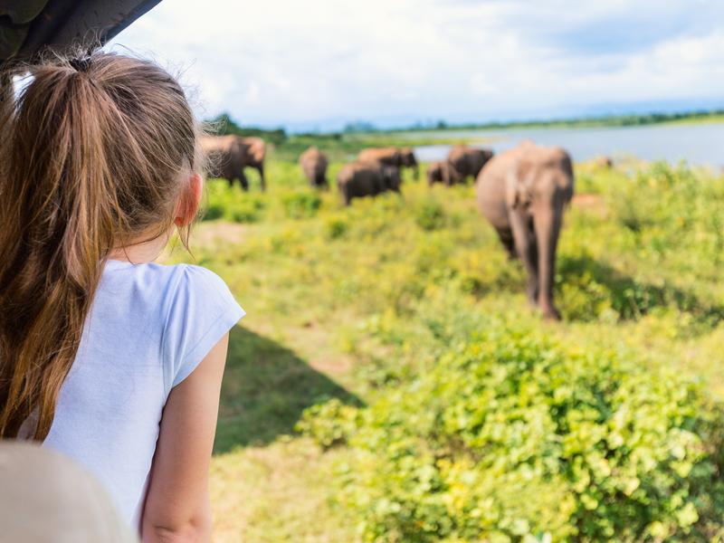 Girl looking at elephant