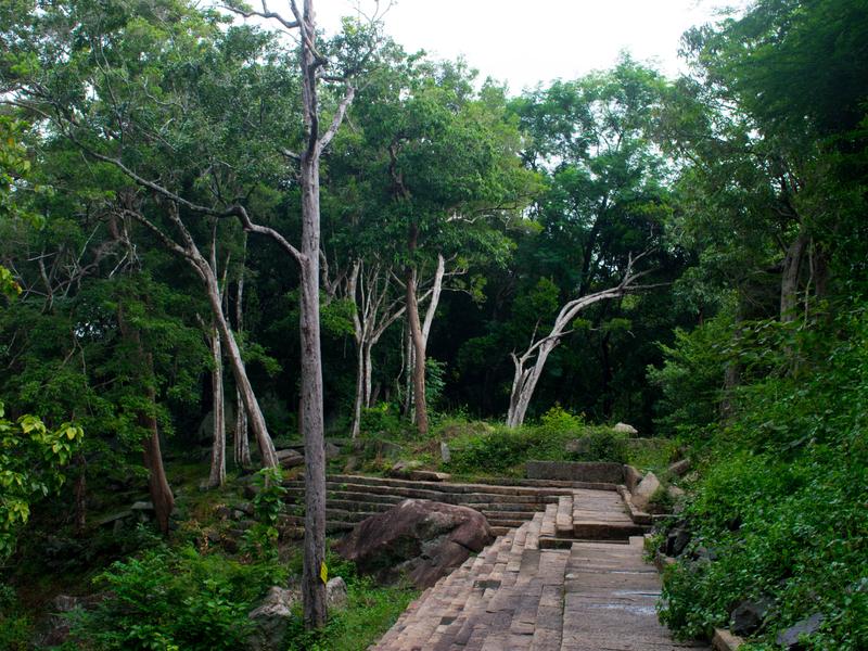 Ritigala forest