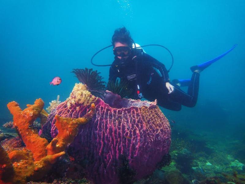 Diving in Borneo