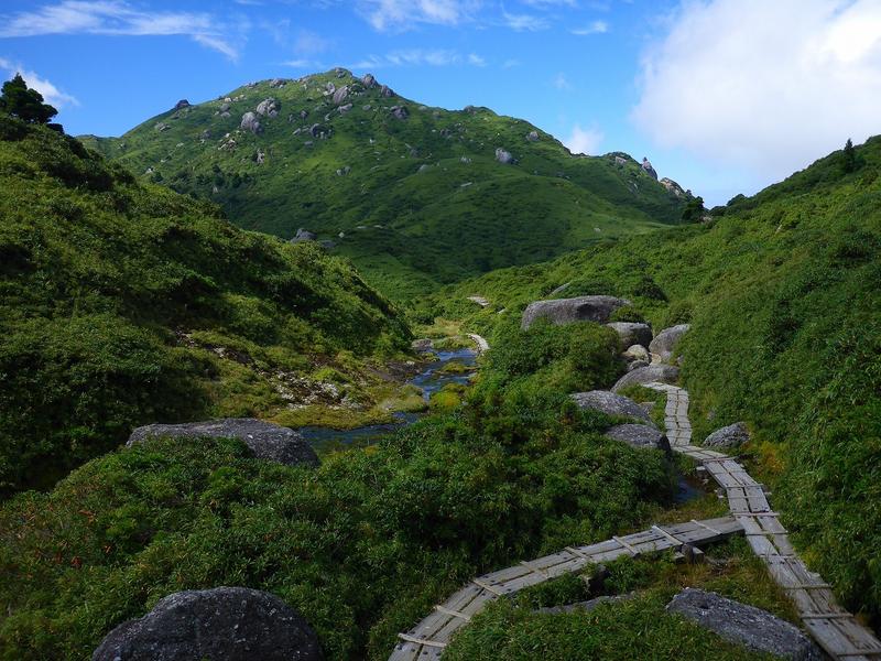 Mountains and walkways on Yakushima Island