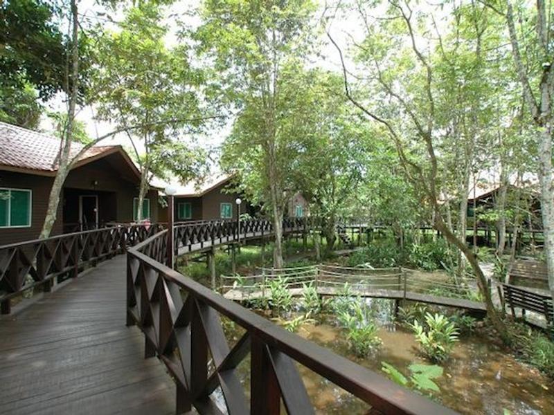 Walkways in the trees at Kinabatangan Riverside Lodge