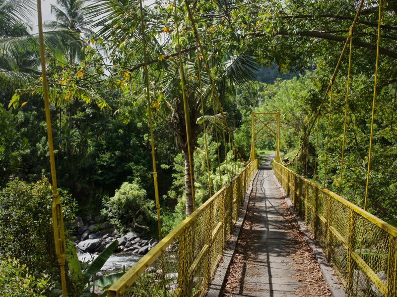 Bridge over the forest, Sidemen, Bali