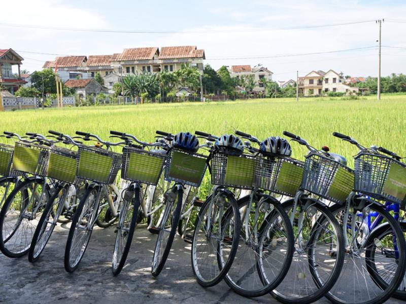 Bicycles lined up by rice paddy at Hoi An Chic