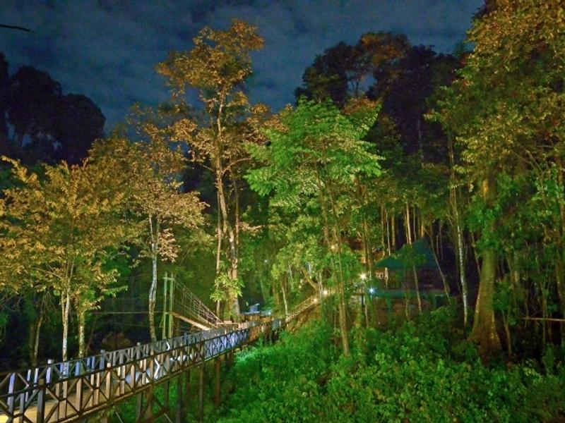 Jungle boardwalk at night at Tabin Wildlife Resort