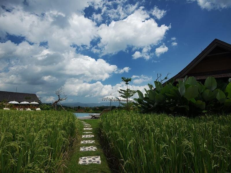 Green path to pool at Sanak Retreat Bali