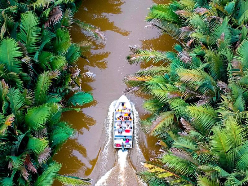Birdseye view of a boat on a river through the rainforest.